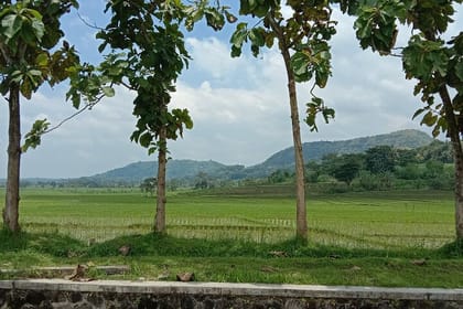 Cycling Village Tour Kulonprogo