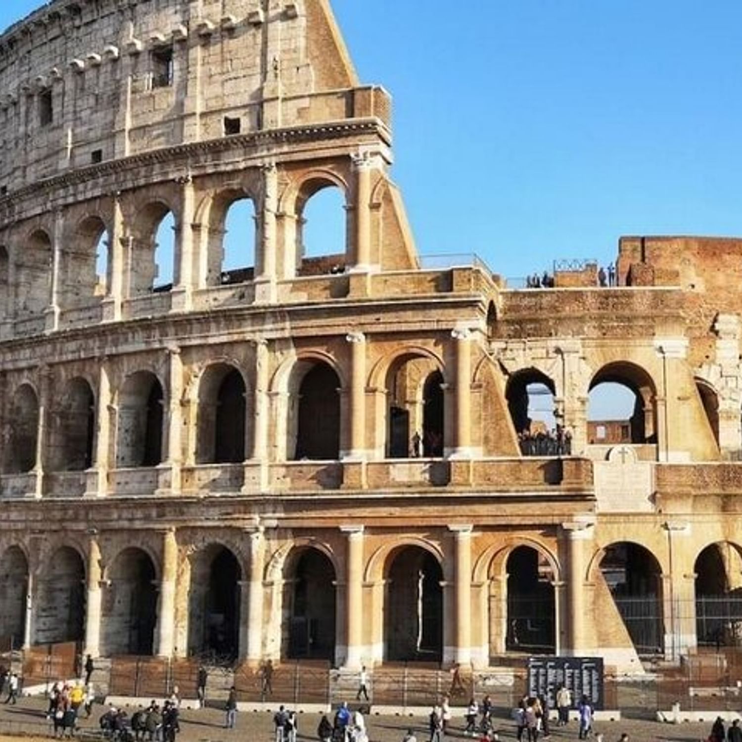 Guided Walk To Roman Forum Discovery