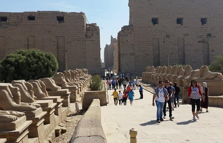 Felucca Sailing Boat, Visit to Karnak and Luxor Temples