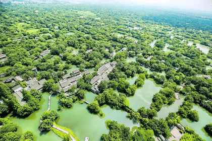 Half-Day Tour with Expert Guide: Explore Hangzhou Xixi Wetland Park (Includes Entry & Boat Ticket)