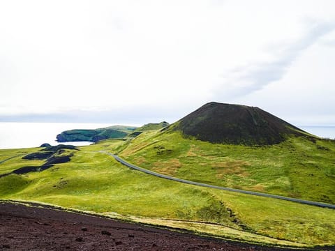 Vestmannaeyjar Private Day Tour, photo 4