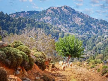 Cultural Heritage Tour of Chania and Gavalochori, Crete