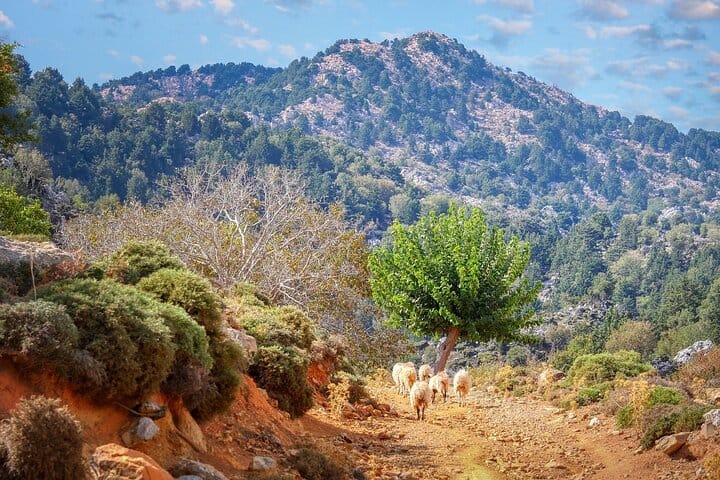 Paths of Old Cretan Life. Private tour from Chania. 2