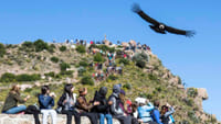 Full Day Colca Canyon Tour 8