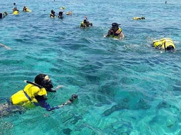 Day Tour to Pink Beach from Kuta, Lombok Island