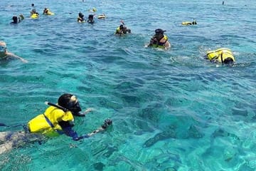 Day Tour to Pink Beach from Kuta, Lombok Island