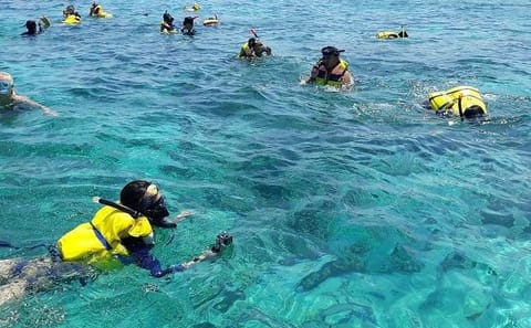 Day Tour to Pink Beach from Kuta, Lombok Island