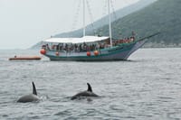 1–Day Arraial & Búzios Tour: Paradise in the Coast of Rio de Janeiro 8