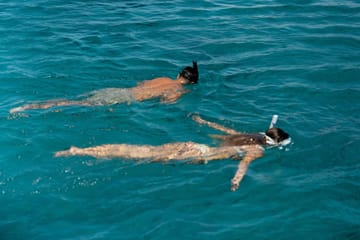 Catamaran Cruise with Meal and Drinks in Mykonos