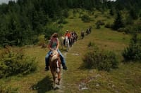 1 Hour Waterfalls Canyon Private Horse Riding in Smolyan  5