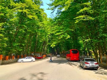 Guba-Quba tour-Guba tour-quba-tour-guba-tour_Quba_tour_guba_tour_ Qechresh forest