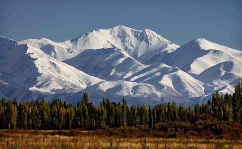 Private 5-Day Luxury Wine and Andes Tour in Mendoza