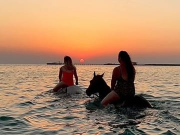 Horseback Riding and Swimming with Horses in Hurghada