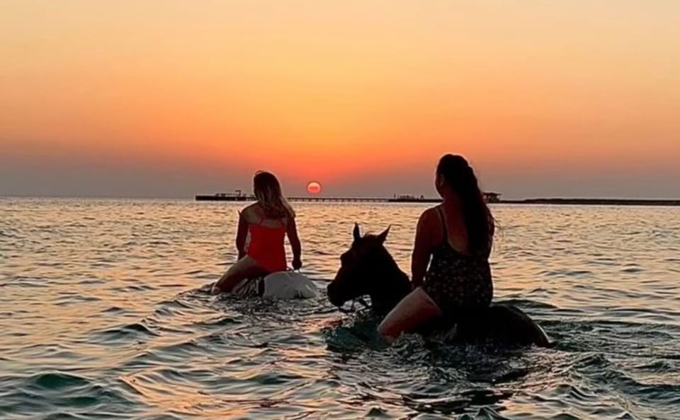 Horseback Riding and Swimming with Horses in Hurghada