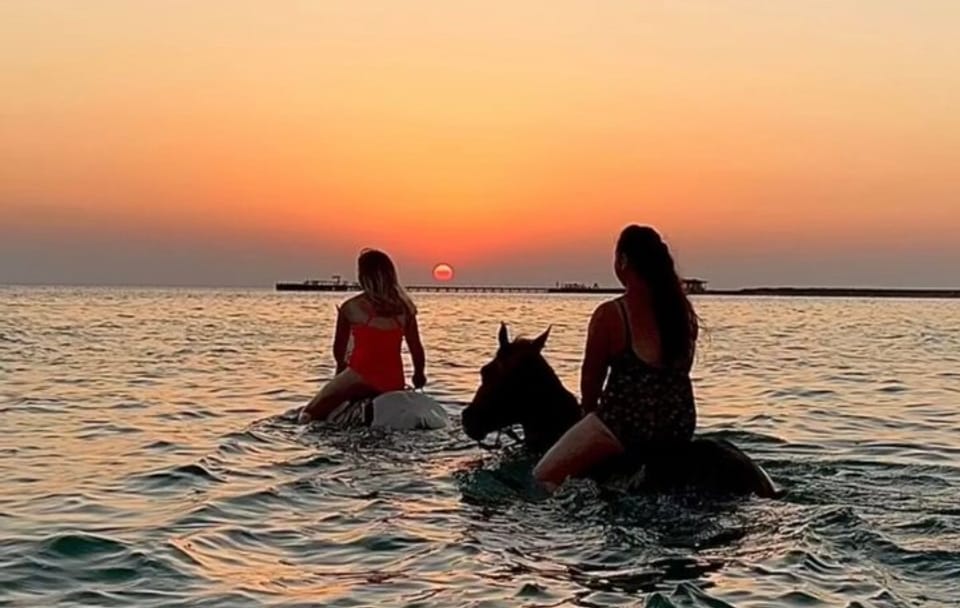 Horseback Riding and Swimming with Horses in Hurghada