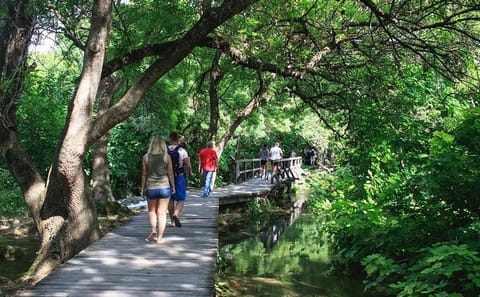 Private Tour of Krka Waterfalls and Šibenik from Split