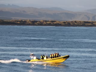 Puffin Tour by RIB Speedboat from Downtown Reykjavik, photo 17