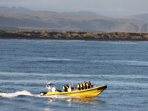 Whale Watching from Downtown Reykjavik by RIB Speedboat , photo 21