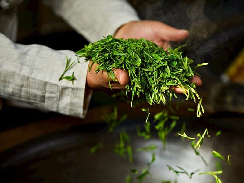 Authentic Hangzhou Longjing Tea Culture Experience Tour