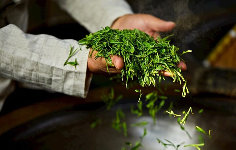 Hangzhou Longjing Tea Culture and Picking Experience Tour