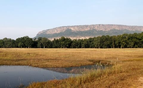 Cultural and Wildlife Tour of Agra and Gwalior, India