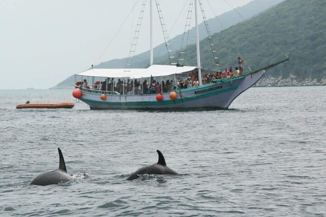 Full-Day Arraial do Cabo Schooner Tour from Rio – Shared Group photo 3