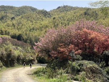 Shanghai: Baishuichong Waterfall & Yang E Trail Hike