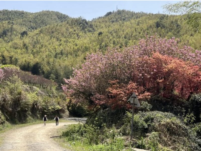 Shanghai: Baishuichong Waterfall & Yang E Trail Hike