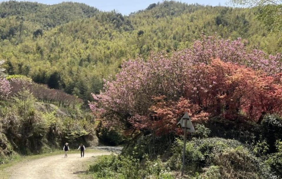 Hiking Tour to Baishuichong Waterfall and Yang E Trail from Shanghai