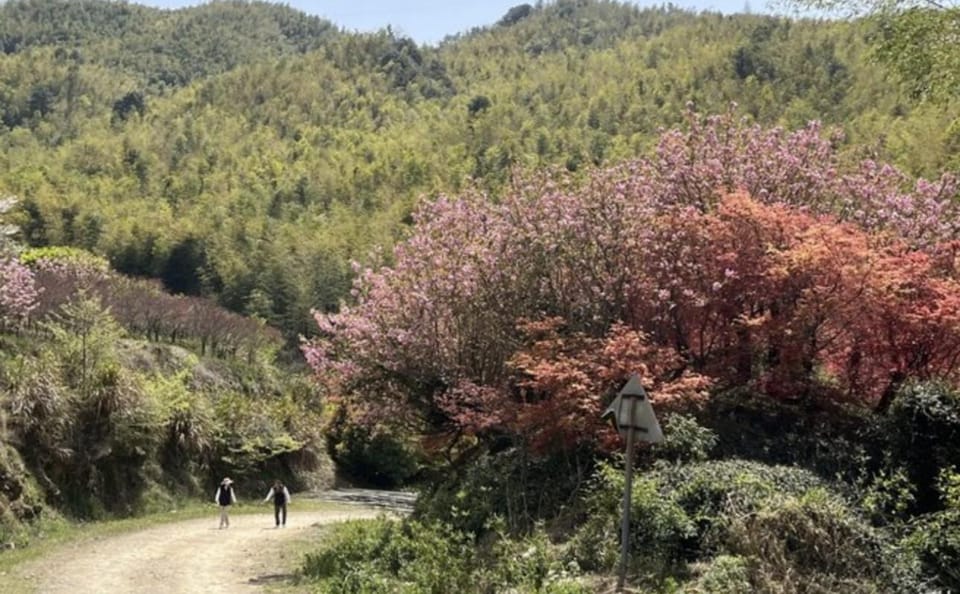 Hiking Tour to Baishuichong Waterfall and Yang E Trail from Shanghai