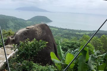 Easy Rider Private Tour Via Hai Van Pass Hoi An & Hue (1Way|Loop)