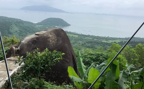 Easy Rider Private Tour Via Hai Van Pass Hoi An & Hue (1Way|Loop)