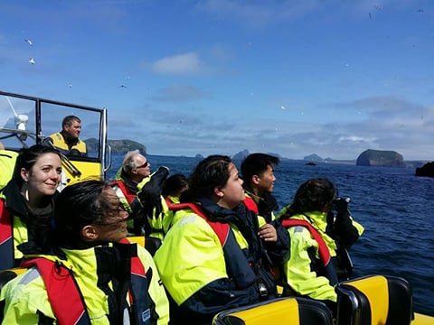 2 hour boat trip in Vestmannaeyjar
