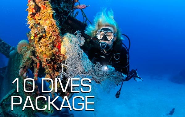 10 dive package in Madeira