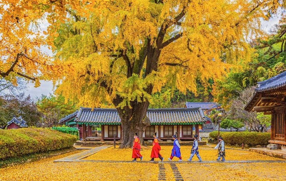 Private Jeonju Hanok Village – Culinary tour