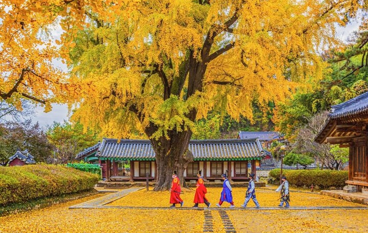 Private Jeonju Hanok Village – Culinary tour