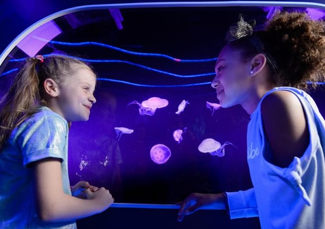SEA LIFE London Aquarium Advance Ticket photo 3