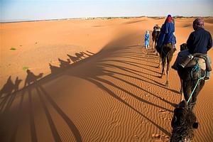 3-Day Private Desert Tour from Marrakech and finish in Fes