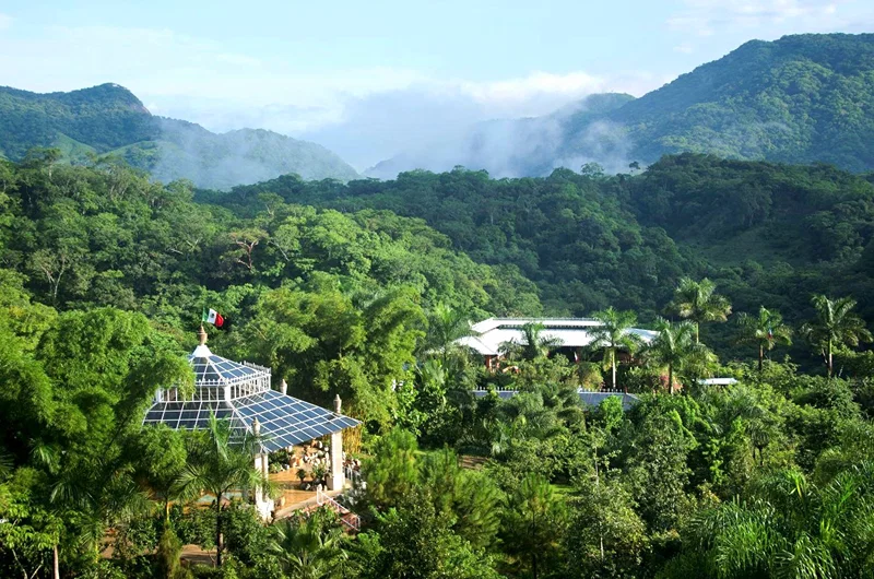 Jardín Botánico con un Biólogo: Flora y Vida Silvestre Tropical