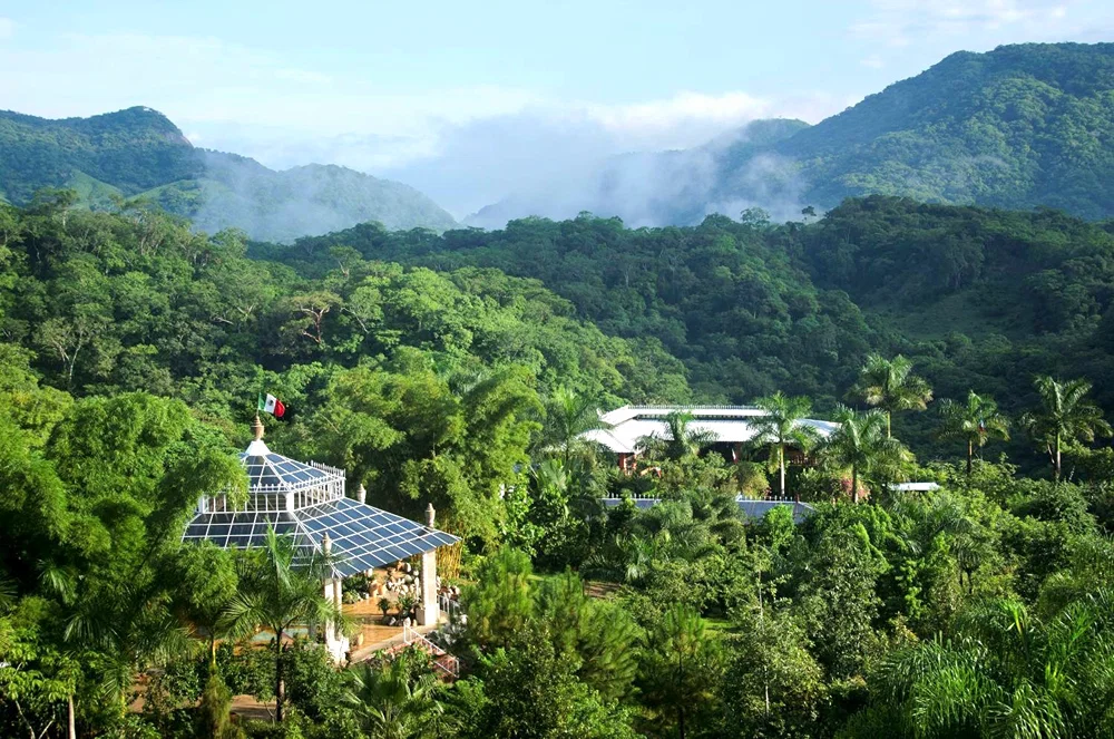 Jardín Botánico con un Biólogo: Flora y Vida Silvestre Tropical
