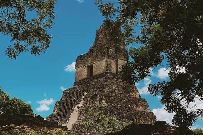 Discover Tikal by air on a 2-day & 1-night Tour from Guatemala City photo 5