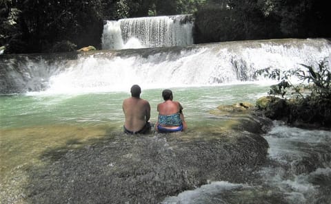 Private Day Tour to YS Falls and Black River from Falmouth