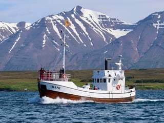 Classic Whale Watching from Dalvík, photo 12