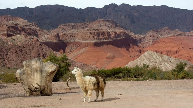 Cafayate, Vineyards and Calchaquies Valleys Tour from Salta 9