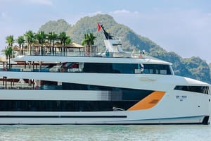 From Harbor: Dolphin Cruise– A Luxurious Day Escape on Halong Bay