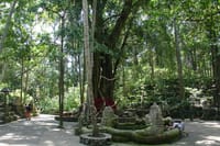 Bali Full-Day Traditional Village Sightseeing Trip All Inclusive 5