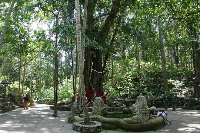 Bali Full-Day Traditional Village Sightseeing Trip All Inclusive 5