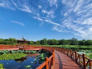 Guided Tour of Yuanmingyuan Park in Haidian District