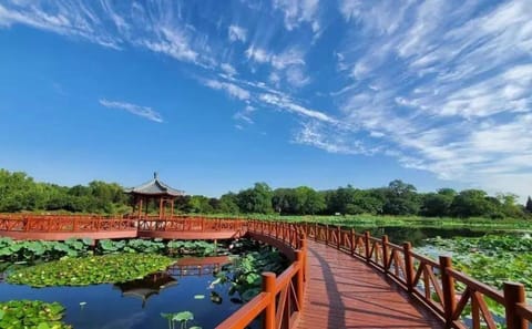 Guided Tour of Yuanmingyuan Park in Haidian District