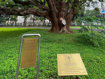 Buon Ma Thuot Heritage & Coffee Journey